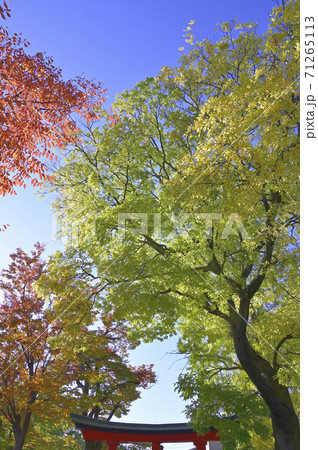 深志神社(松本市) 深志神社(松本市) 71265113