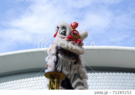 SEREMBAN, MALAYSIA -FEBRUARY 2, 2017: Lion dance performance during Chinese New Year Festival at Seremban, Malaysia. It was a traditional and cultural dance by Chinese since past. SEREMBAN, MALAYSIA -FEBRUARY 2, 2017: Lion dance performance during Chinese New Year Festival at Seremban, Malaysia. It was a traditional and cultural dance by Chinese since past. 71265252