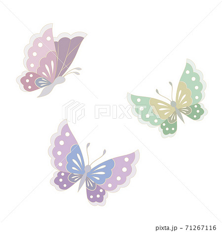 和柄の蝶 和風イラストのイラスト素材 71267116 Pixta