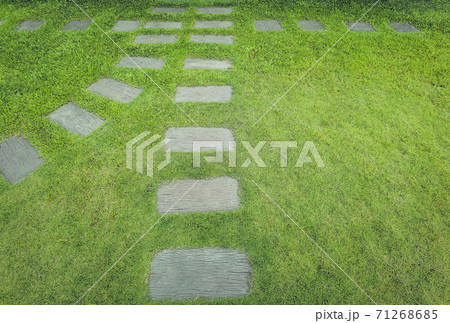 Walkway sheet stretching into the distance with green grass lawn in perspective view in garden. Garden landscape design concept, A row of square-shaped walkways in the public park. 71268685
