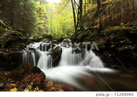 Forest stream flowing down from the mountains 71269060