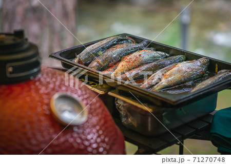 summer garden party with grilled fish and herbs, grilled trout summer garden party with grilled fish and herbs, grilled trout 71270748