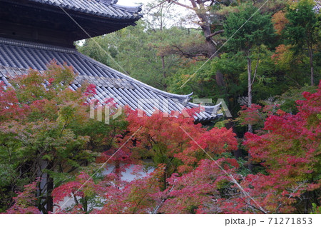 秋の宝福寺 秋の宝福寺 71271853