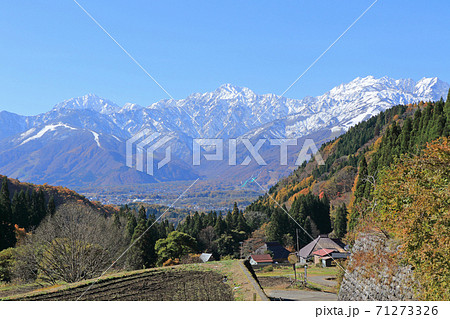 晩秋の白馬村青鬼　棚田から望む北アルプス 71273326
