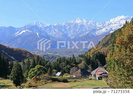 晩秋の白馬村青鬼　棚田から望む北アルプス 71273356