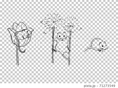 可愛的小動物:茅根素描圖集 可愛的小動物:茅根素描圖集 71273549