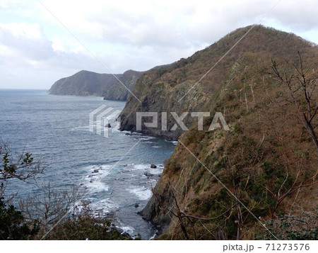 豆酘崎 豆酘崎 71273576
