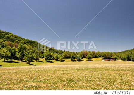 兵庫県三田市の有馬富士公園大芝生広場 71273637