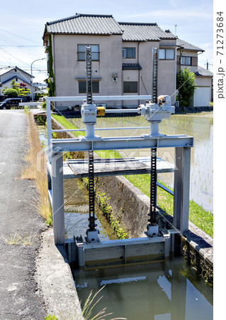 水田用水路の堰 水田用水路の堰 71273684