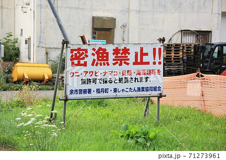 密漁禁止看板（北海道積丹町） 71273961