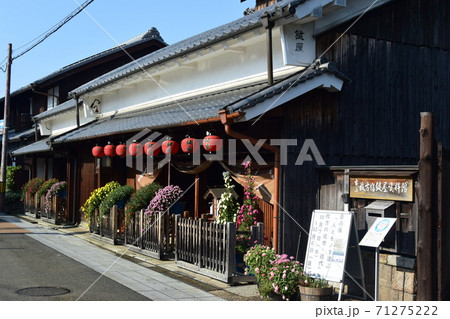 菊と市立枚方宿鍵屋資料館 71275222