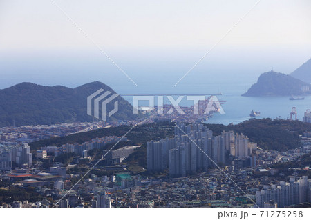 風景 海 港 71275258