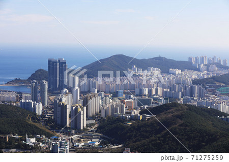 港 都市 都会 71275259