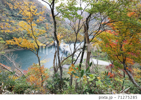 仏御前の滝への道から見える仏原ダム湖と琴洞橋(福井県 大野市) 仏御前の滝への道から見える仏原ダム湖と琴洞橋(福井県 大野市) 71275285