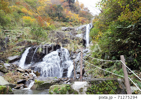仏御前の滝（福井県 大野市） 71275294