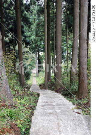 仏御前の滝 遊歩道（福井県 大野市） 71275300