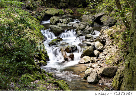 大阪にある箕面滝への夏ハイキング 大阪にある箕面滝への夏ハイキング 71275937