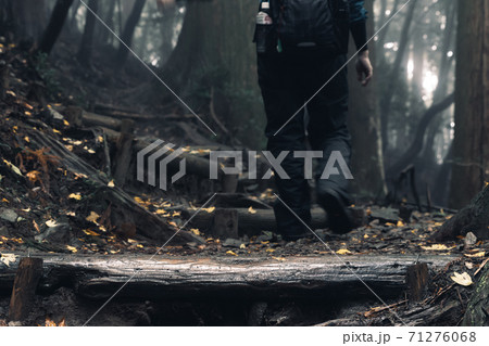 雨の木段を歩く登山者の脚 雨の木段を歩く登山者の脚 71276068