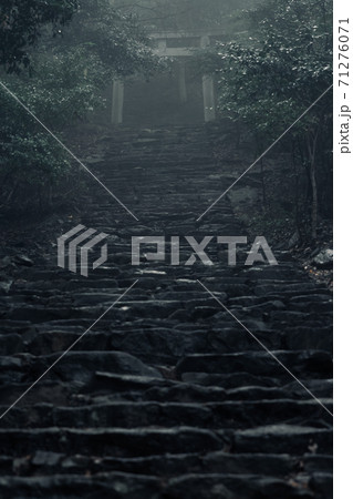 霞の中の神域 石段と鳥居 霞の中の神域 石段と鳥居 71276071