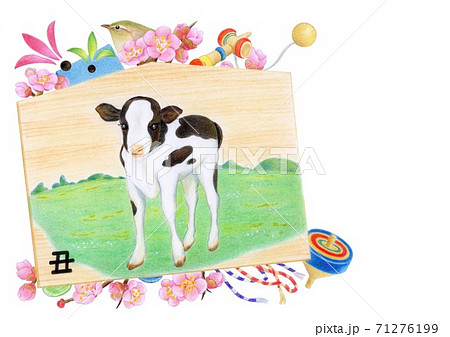 かわいい子牛の絵馬 手描き かわいい子牛の絵馬 手描き 71276199