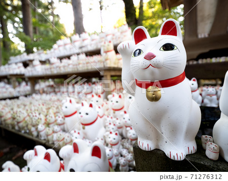 東京都 豪徳寺の招き猫 東京都 豪徳寺の招き猫 71276312
