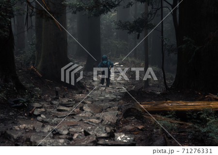 雨の中、石段を下りる登山者 71276331