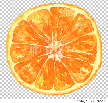 水彩切片的mikan 71276544