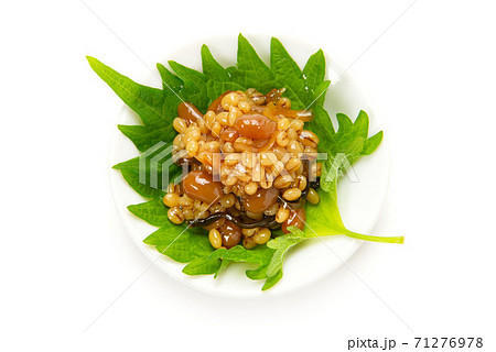 醤油の実 71276978