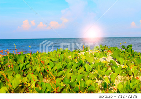 beach of china beach of china 71277278