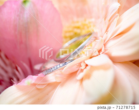 結婚指輪 71278715
