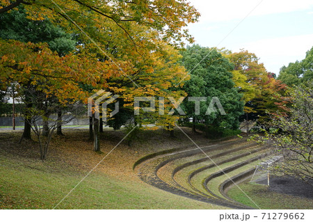 東京都多摩市の鶴牧東公園の紅葉 71279662