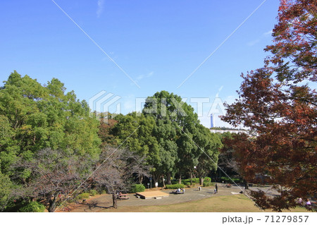 白根公園　横浜市旭区 71279857