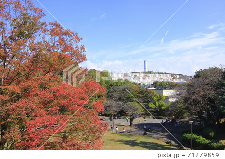 白根公園　横浜市旭区 71279859
