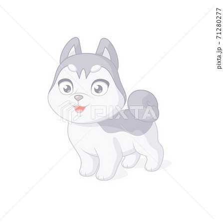Cute husky puppy cartoon character. Vector illustration on white background. 71280277