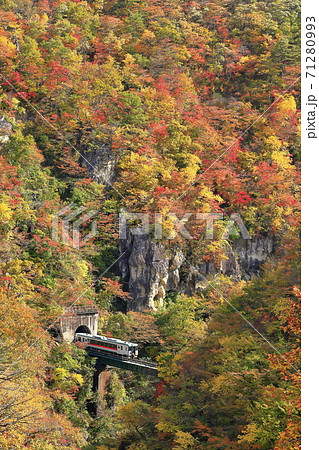 紅葉の鳴子峡（陸羽東線） 71280993