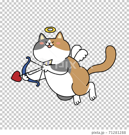 Cupid cat Cupid cat 71281288