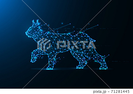 Lynx in polygonal style. Wild cat made from lines and dots. Abstract art 71281445