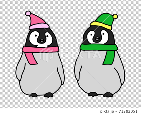ペアルックのペンギンのカップル のイラスト素材 7151