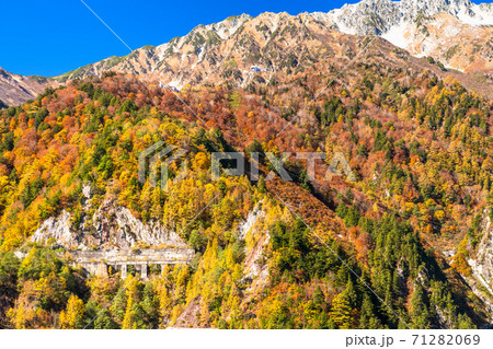 《富山県》紅葉の黒部・黄葉最盛期 《富山県》紅葉の黒部・黄葉最盛期 71282069
