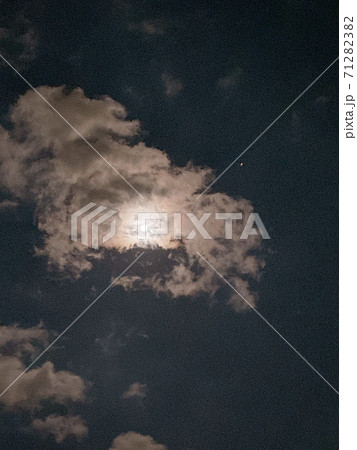 朧月夜 朧月夜 71282382