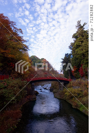 日光市　日光二荒山神社　神橋と紅葉 71282882
