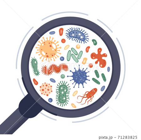 Bacteria in magnifying glass. Viruses, infection germ and disease bacteria under rejuvenating glass. Microorganisms circle vector illustration 71283825