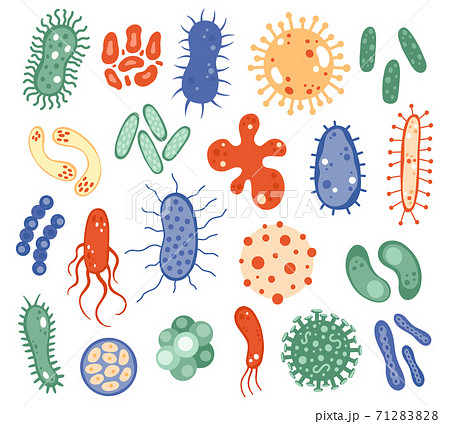 Bacteria seamless pattern Scientific vector illustration in sketch style  Doodle background 18735884 Vector Art at Vecteezy