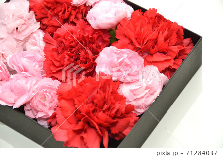 カーネーションのボックスフラワー・母の日イメージ・ギフト 71284037