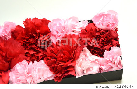 カーネーションのボックスフラワー・母の日イメージ・ギフト カーネーションのボックスフラワー・母の日イメージ・ギフト 71284047