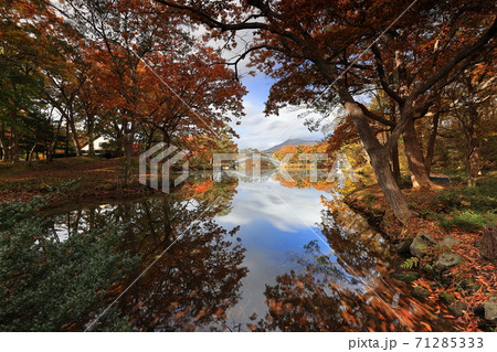 紅葉の大沼国定公園 紅葉の大沼国定公園 71285333