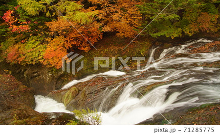 竜頭の滝　紅葉 71285775