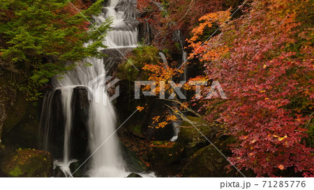 竜頭の滝　紅葉 71285776
