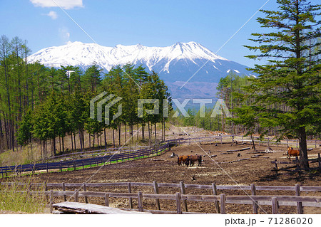 開田高原　木曽馬の里から見た御嶽山 71286020