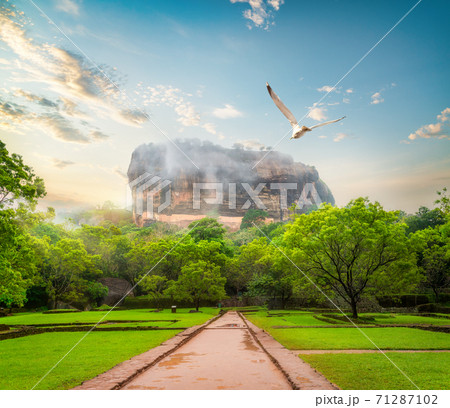 Garden near Sigiriya Garden near Sigiriya 71287102